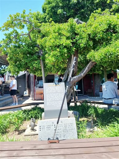 간월도는 충청남도 서산시 부석면에 위치한 작은 섬으로 낙조 풍경, 명물 어리굴젓으로 유명한 서해안의 대표 명소입니다.서산 #충남여행 #간월암 #어리굴젓 #디알지퍼터