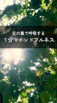 🌱 足の裏は生きている。｜足裏マインドフルネス【1分】#マインドフルネス #瞑想