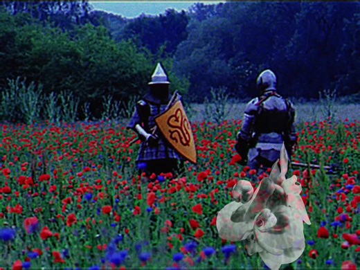 Based warfare #onzecore #knight #historyedit #midevil #fyp