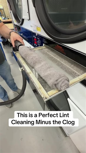 Perfect Lint Cleaning Without Clogs