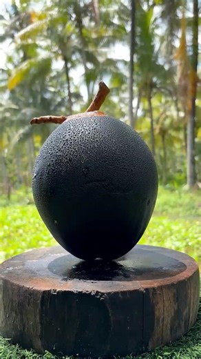 Satisfying diamond black coconut cutting #shorts