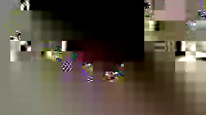 231K views · 4.1K reactions | Talk about barking rights.  The Vancouver Canucks held a dog race for the players' pets and the results were spectacular. | NHL | Facebook