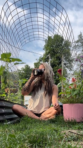 Lots of questions on my seed starting mix! Here’s the recipe! Vermiculite holds moisture while perlite creates a light soil with good aeration! Dont spend $10 on a small bag, make it yourself! Gardening on a budget! #gardeningonabudget #selfsufficient #homestead #garden #seedstarting #urbanhomestead #canningandpreserving #gardening | Barefoot.mimosas