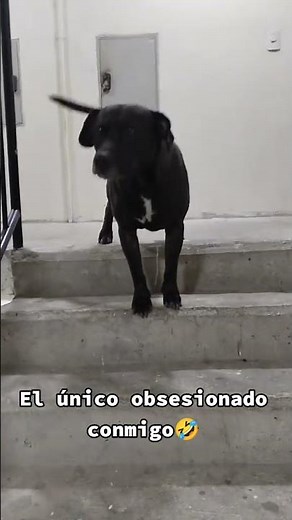 ahí un loco obsesionado contigo #viralvideo #humor #01tendencias #comedia #elpersonajedelasemana