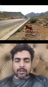 3.5M views · 10K reactions | Bus driver ki buhadari and aqal mandi say sb logo ki jan bach gae #pakistan #india | Pakistani Reaction 2.0 | Facebook