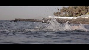 169K views · 592 reactions | You come from a swimming background or you’ve managed to perfect your technique, so you no longer make any major mistakes. You maintain a correct position in the water: high and horizontal. You’re looking for maximum flexibility, which will let you develop your skills without altering your technique. You’re a Natural Swimmer. Find this and other types of swimmers at orca.com/swimscale #orcaswimscale #naturalswimmer #orcatriathlon | Orca | Facebook