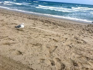 Long Branch To Open Fully Accessible Beach With Ramp