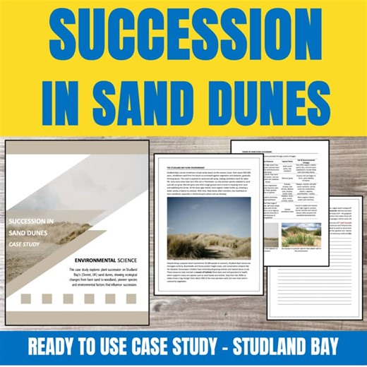Sand Dune Succession Worksheet | No Prep Coastal Ecology Case Study (Printable)