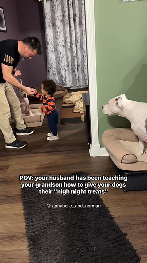 this just might be the cutest bedtime routine on the internet 🐾💤 | Annabelle and Norman