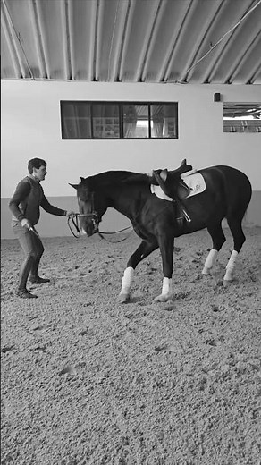 🐎✨ Entrenamiento Lusitano con Ricardo Piedade