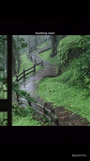 🤍🌿 on Instagram: "The morning view we all want💗 . . 📍 The clouds hung low, wrapping the world in a misty veil, and the air was filled with the fresh scent of wet earth 🌿. It was as if nature was resetting, washing away worries and bringing a sense of renewal. The little wind added a subtle whisper to this peaceful scene, making it a serene start to the day"