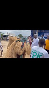 Unity Broadcasting on Reels