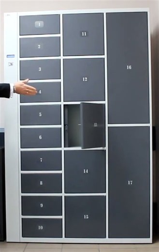 RFID Smart Locker Demo India | Card Access & Electronic Locker | RIFE