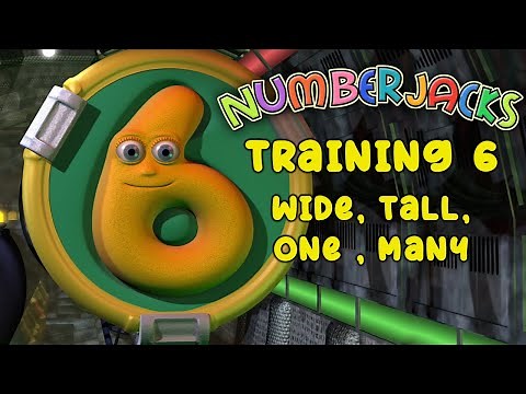 Agent Training 6 | Wide, tall, one , many | Fall sorted | Numberjacks
