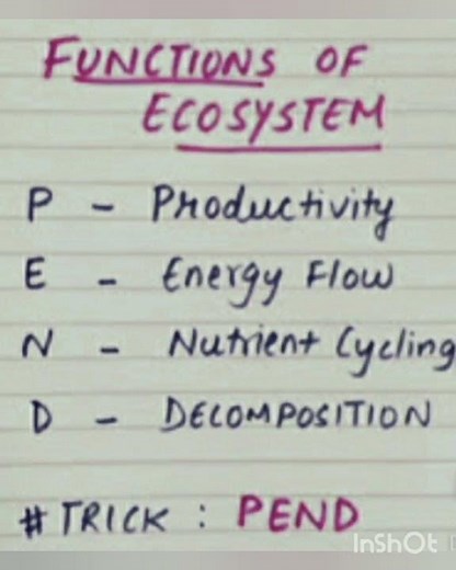 Function,s of Ecosystem