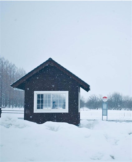 雪と美しい景色：福井・滋賀の魅力