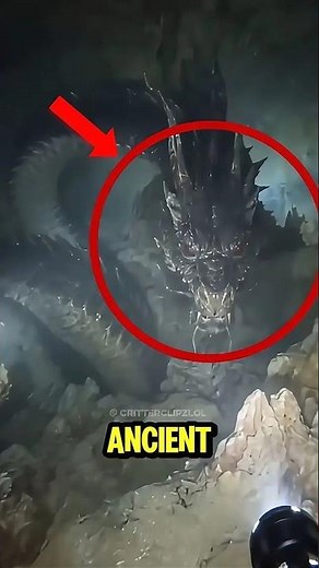 Top 5 Ancient Animals Still Alive That Barely Changed #marinelife #top5 #facts