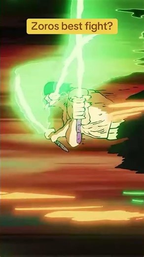 One of zoros best fights