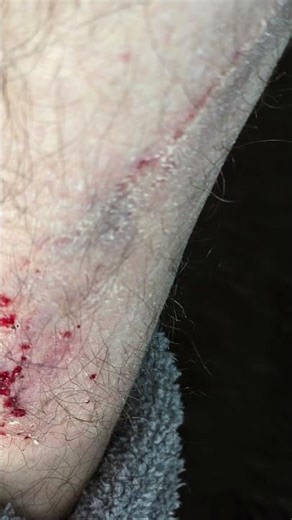 Latest Poltergeist Sightings