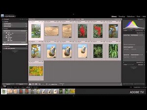 Organizing Your Photographs | Adobe Lightroom