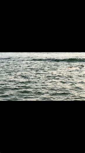 Ashkar Ashrafff🍉 on Instagram: "Day 24 of 30 days of posting✅ . 1% better everyday . . . . . [documenting, journal, habit tracker, consistency, self improvement, discipline, progress, daily routine, motivation, challenge, growth,fortkochi,newyear,kochi,christmas ] . . . . . #edit #decemberchallenge #selfimprovement #consistency #content"