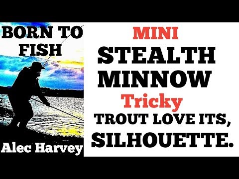 FLY TYING - THE MINI "STEALTH MINNOW" FOR TRICKY TROUT.