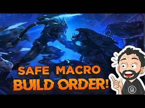 StarCraft 2 - PvZ - SAFE & MACRO Protoss Build Order!