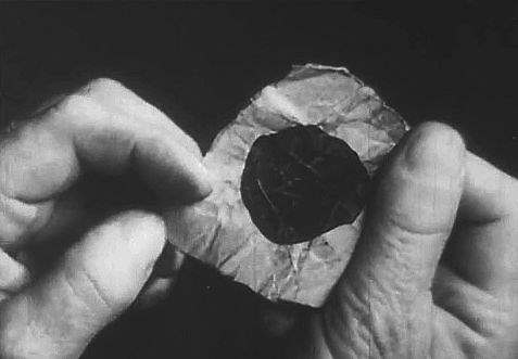 Pirates: Where Does the "Black Spot" Come From? - Quirky Science
