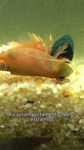Tentei Criar Criaturas de 200 Milhões de Anos em Casa