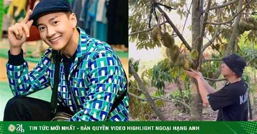 Bên trong vườn sầu riêng của Ngô Kiến Huy