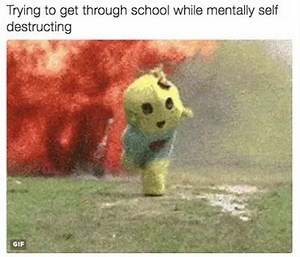 3.2M views · 15K reactions | Navigating life like [via freddyamazin] | Capital Buzz | Facebook