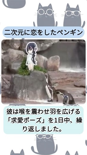 The Penguin Who Fell in Love with a 2D Character #Penguin #KemonoFriends