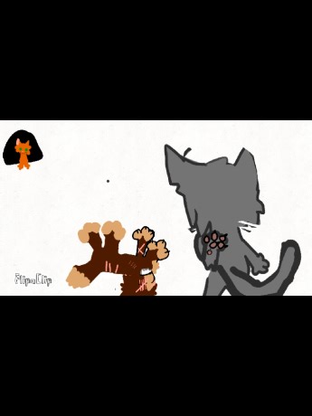 okay .#fyppppppppppppppppppppppp #warriorcats #fypシ