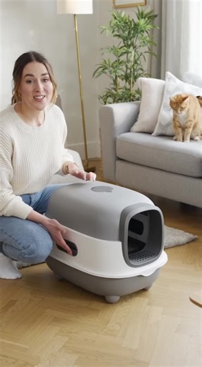 Stylish Cat Litter Boxes for Modern Homes