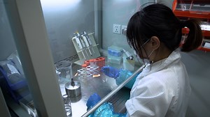 Visualizing Diffusional Dynamics of Gold Nanorods on Cell Membrane using Single Nanoparticle Darkfield Microscopy