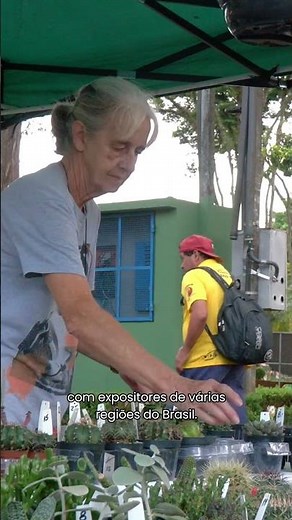 Discover Embu das Artes