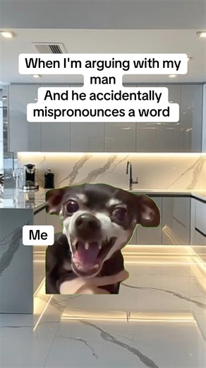 Now who’s a fool🤣 #funnymemes #memes #dogmeme #viralmemes | LetsLaugh