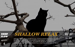 酣睡下午的浅呼吸 Jazz Lo-Fi | 私人歌单 SHALLOW RELAX SELF LIST VOL.35 MIX:FAITHFUL