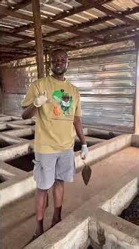 How you can start making maggots using waste and water in your location