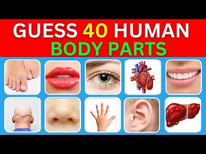 Guess the Human Body Parts in Just 3 Seconds Challenge | 40 Famous Body Parts| Body Parts Quiz
