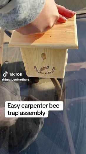 Our pine turbo trap comes ready to catch carpenter bees almost immediately. Just attach the hook on top and you are ready to go. 🔥 #carpenterbees