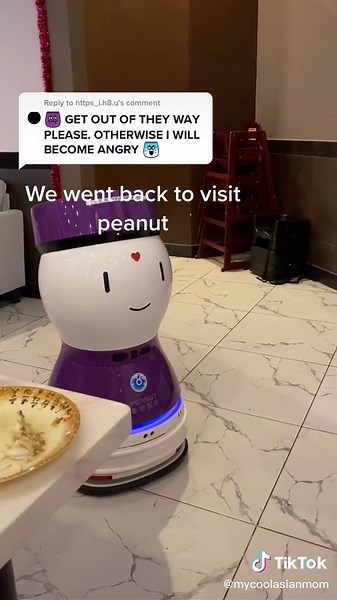 Funny Moments with Peanut Robot and Cat Robot