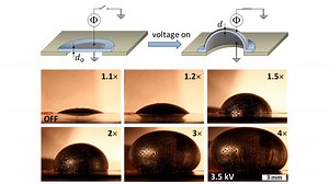 New ‘Bottlebrush’ Electroactive Polymers Make Dielectric Elastomers Increasingly Viable for Use in Devices
