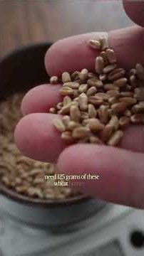 Rouge de Bordeaux: The Heritage Wheat That Smells Like Cinnamon?!