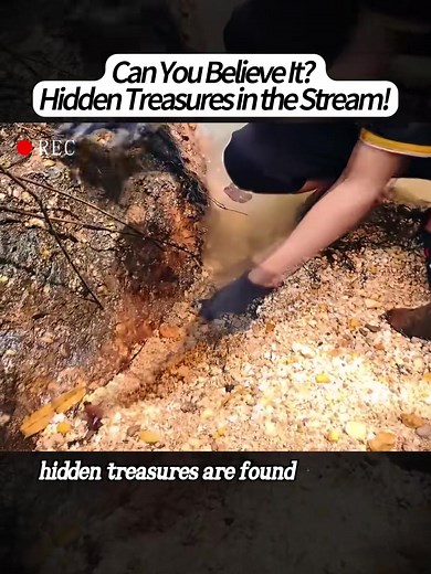 1.8K views | fyp #treasurehunt #adventure #treasure | Presley Butler | Facebook