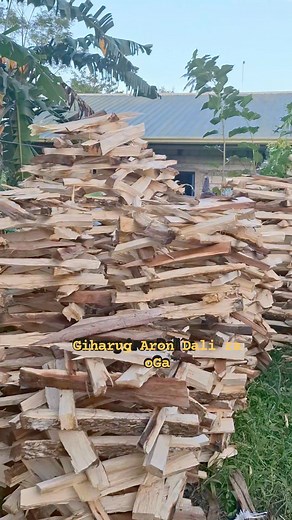 19 reactions | Giharug Aron dali ra maoga #followersシ゚ #fbreelsviral #highlight | Willy Pagaran Dagupan | Facebook