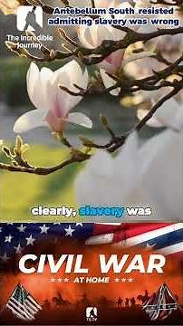 Unpack the Hidden Truths of the Antebellum South!