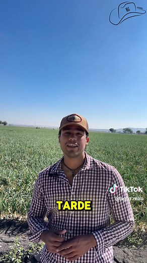 Estudia Agronomía: Carrera y Oportunidades en el Campo