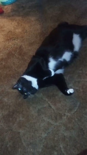 Duffy says life is just too difficult to play string right now