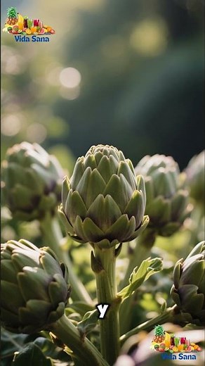 La alcachofa: el depurativo natural que tu cuerpo necesita